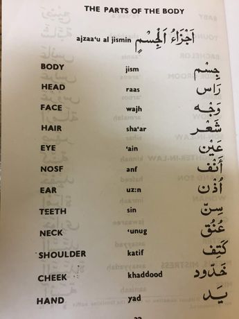 Love Words For Her, Arabic Conversation, Learning Arabic For Beginners, Arabic Learning, Spoken Arabic, Basic Language, Learn Arabic Online, Learn Another Language, Teach Arabic