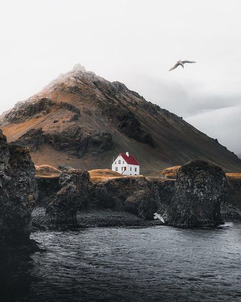 Snaefellsnes Peninsula, Nordland, Cabin In The Woods, Iceland Travel, Reykjavik, Nature Landscape, Wonders Of The World, The Great Outdoors, Iceland