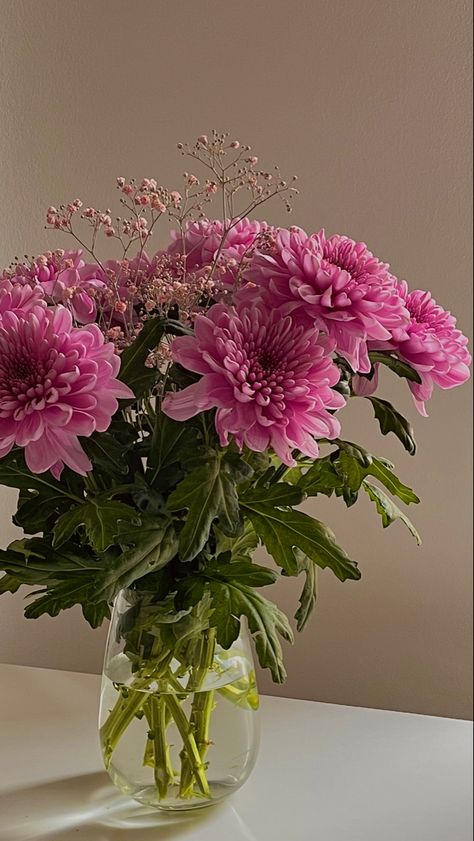 Chrysanthemum Bouquet, Nice Good Morning Images, Blossom Garden, Nature Instagram, Plant Wallpaper, Chrysanthemum Flower, Vase Flower, Flower Therapy, Apple Wallpaper