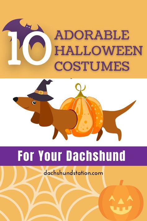 Best Halloween Costumes For Dachshunds. Top 10 Halloween Costumes For Dachshunds. Hilarious Dachshund Costumes For 2020.  #dachshund  #doxie  #dogcostume Costumes For Weiner Dogs, Wiener Dog Costumes, Daschund Costume, 3 Dog Halloween Costumes, Mini Dachshund Halloween Costumes, Dachshund Costume Diy, Daschund Halloween Costumes, Weiner Dog Halloween Costumes, Weenie Dog Costumes