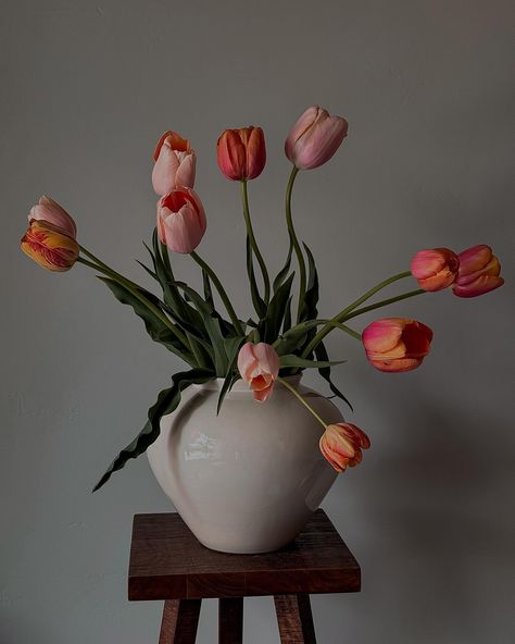 Tulips + golden hour = 🧡 ________________________________________________ #aestheticmood #aestheticlifestyle #aestheticfeed #aestheticfeeds #aestheticinstagram #pastelin #cozymag #aesthetistt #estbysol #voguegram #theparisianchique #thecoldsoul #thenoisetier #emperiance #esteticpart #dosesofstyle #nooart #viiisuual #helloaesthete #velvetdynasty #parisianamour #thesolme #themoodw #postitfortheaesthetics #aestheticallypleasing #simplepleasures #simplepleasuresoflife #estetvisual #tulips Tulip Still Life Photography, Tulip Still Life, Simple Pleasures, Life Photography, Still Life Photography, Instagram Aesthetic, Golden Hour, Still Life, Tulips