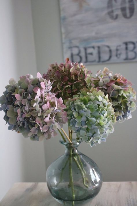 Dry Hydrangea Arrangements, Dry Hydrangeas, Diy Container, Hydrangea Flower Arrangements, Scottish Flowers, Hydrangea Bush, Container Garden Design, Easy Wreaths, Hydrangea Arrangements