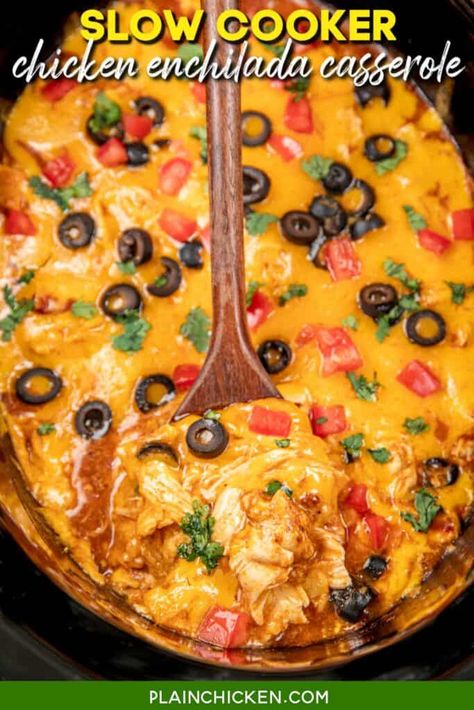 Slow Cooker Chicken Enchilada Casserole, Crockpot Chicken Enchilada Casserole, Enchiladas Casserole, Salad Mexican, Crockpot Mexican Chicken, Crockpot Chicken Enchiladas, Soft Tortillas, 2024 Meals, Chicken Enchilada Casserole Recipe