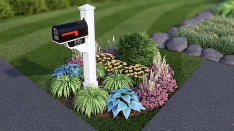 Mailbox Landscaping 101: A Comprehensive Guide | Plant by Number Mailbox Area Landscaping, Landscaping For Mailbox Area, Plants Around Mailbox Post, Mailbox Landscaping Full Sun, Landscaping Around Mailbox, Plant By Numbers Gardens, Landscaping Around Mailbox Ideas, Mailbox Landscaping Curb Appeal, Mailbox Plants