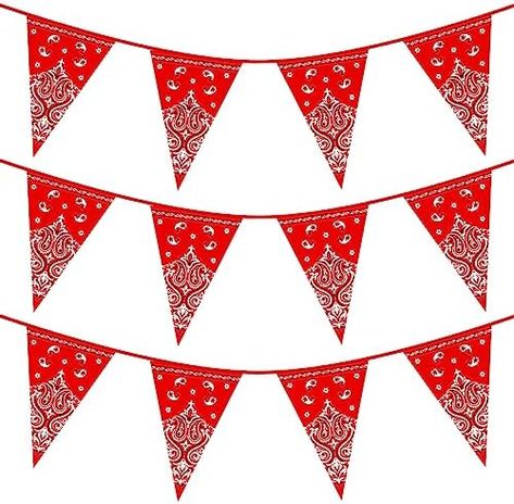 Country Western Party, Cowboy Themed Party, Country Western Parties, Western Party Decorations, Wild West Party, Party Streamers, Western Party, Pennant Flags, Western Parties