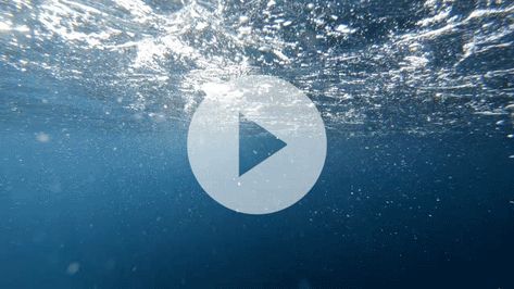 Ocean Diving, Underwater Video, Background Hd, Ocean Water, Sea Ocean, Water Flow, Clear Water, Rainy Day, Stock Video