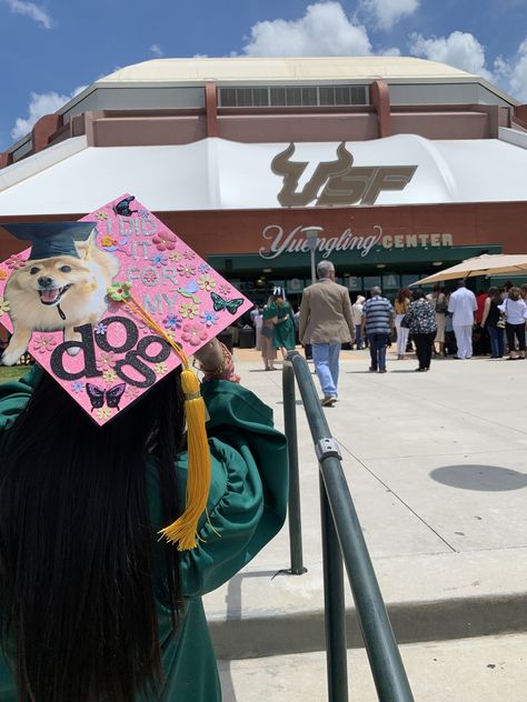 Graduation Cap idea dedicated to dog Dog Graduation Cap, Grad Hats, Grad Hat, Grad Caps, Cap Decoration, Graduation Cap Designs, Vet Med, Graduation Cap Decoration, Cap Decorations