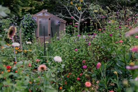 A photo of our flower farm in bloom and greenhouse in the background September Welcome, Harvest Farm, Wholesale Flowers Wedding, Flower Subscription, Flower Farmer, Flower Bucket, Farm Stand, Welcome To The Jungle, Event Flowers