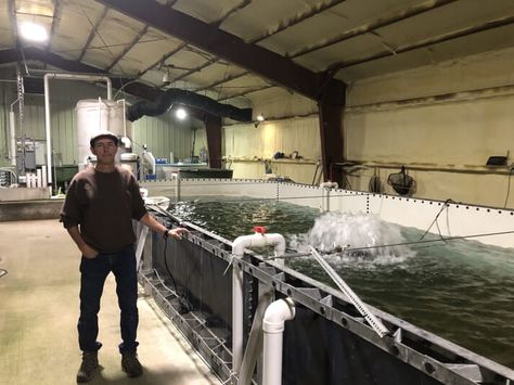 Tales from a tribal trout farm | The Fish Site Trout Farming, Trout Farm, Northern Maine, Presque Isle, Brook Trout, Aquatic Animals, Native American Tribes, Urban Farming, Trout Fishing