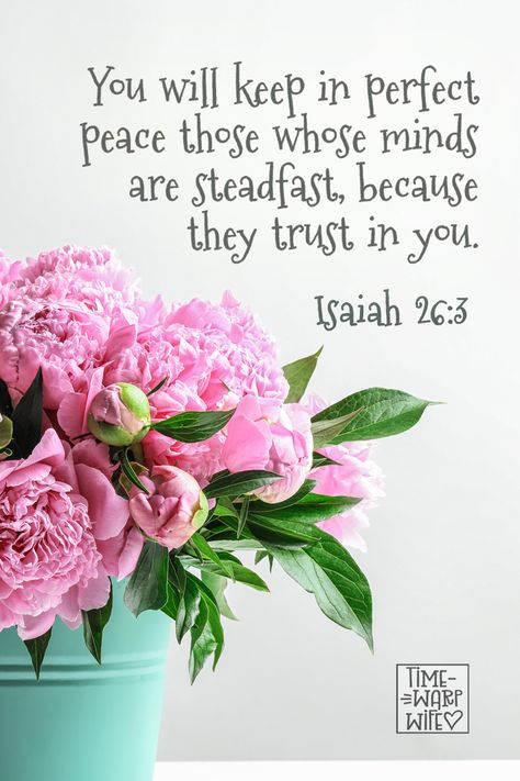 Peace Of God Scriptures, Isaiah Scriptures, King Saul, Psalm 63, God Promises, God Encouragement, Peace Scripture, Isaiah 26, Daily Devotion