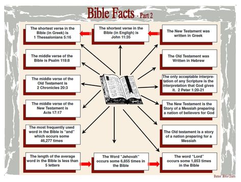 Bible Overview, Bible Doctrine, New Testament Bible, Jesus Book, Bible Topics, Bible Study Topics, Bible Study Help, Understanding The Bible, Bible Study Notebook