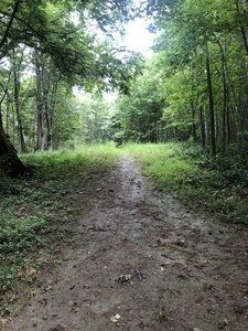 Hiking Trails near Southern Maryland Southern Maryland, Project Site, River Trail, Trail Maps, Hiking Trail, Detailed Map, Special Places, Next Generation, Hiking Trails