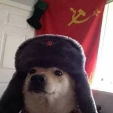 Dog Pfp, Avt Couple, Cute Goth, Avatar Couple, Dog Pin, Meme Template, Soviet Union, Pin Collection, Share It