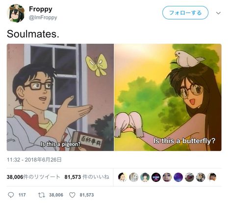 Meme History: Is This A Pigeon? Pigeon Funny Pictures, Is This A Pigeon, Silly Pigeon, Pigeon Books, Pigeon Meme, Pigeon Memes Funny, Boyfriend Memes, 90s Anime, Pigeon