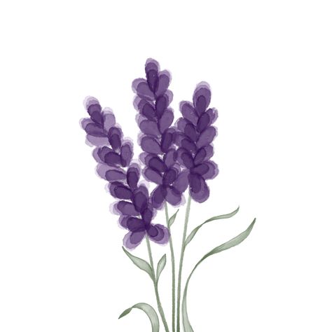 Lavender 2 Lavender Aesthetic Drawing, Lavender Icons Aesthetic, Widgets Lavender, Cute Purple Widgets, Lavender Flowers Aesthetic, Lavender Aesthetic Flower, Lavender Flower Drawing, Purple Flowers Drawing, Lavender Cartoon