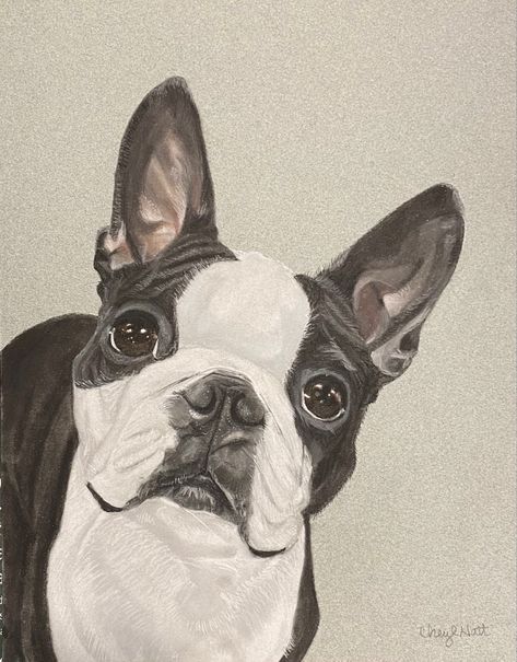 8x10” Boston Terrier Drawing, Terrier Drawing, Boston Terrier Art, Boston Art, Boston Terrier Love, Chalk Pastels, Boston Terriers, Facebook Messenger, Beloved Dog