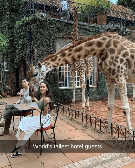 55 Unbelievable Things People Came Across While Traveling - Nature World Today Giraffe Hotel, Giraffe Manor, Best Carry On Bag, Jerry Hall, Johnny Carson, Deer Family, Big Guys, Marlon Brando, Exploring The World