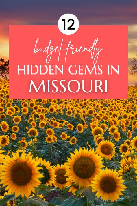 Fun hidden gems in Missouri. Bucket list places to visit in missouri. Missouri vacations. Hidden Gems In Missouri, Day Trips In Missouri, Missouri Bucket List, Things To Do In Missouri, Poplar Bluff Missouri, Cheap Family Activities, Travel Missouri, Bucket List Places To Visit, Missouri Hiking