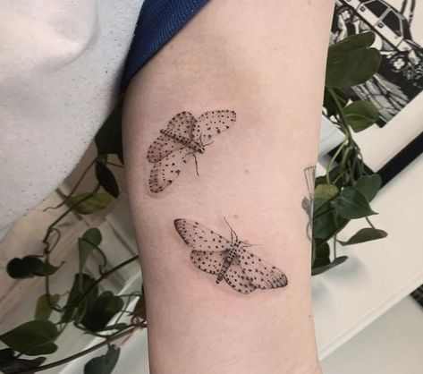 Moth Tattoo Fine Line, Fine Line Moth Tattoo, Line Moth Tattoo, Lucy Tattoo, Maple Moth, Tattoo Fine Line, Rosy Maple Moth, Melbourne Tattoo, Tattoos Inspo