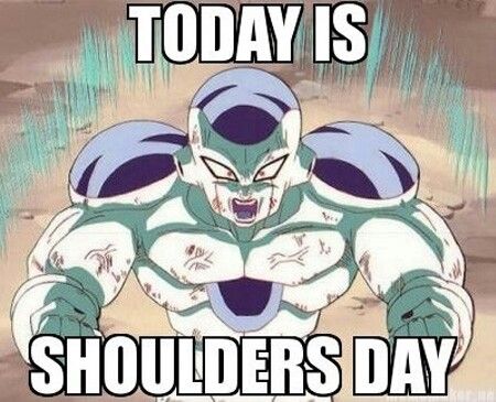 I love shoulder day Bodybuilding Memes, Bodybuilding Humor, Dbz Memes, Motivational Memes, Fitness Habits, Shoulder Day, Gym Quote, Workout Memes, Gym Memes