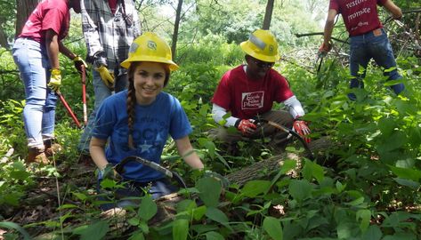 Conservation Corps Programs - Forest Preserves of Cook County Environmental Science Major, Future Aspirations, Conservation Corps, Green Industry, Youth Work, Wildlife Biologist, Everything All At Once, Dream Jobs, Work Site