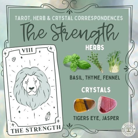 Tarot Vs Oracle, Book Of Shadows Inspiration, Tarot Strength, The Strength Card, Tarot Spells, Tarot 101, Strength Card, Types Of Witches, Strength Tarot