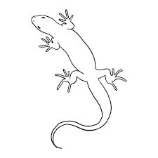 Lizard Line Art, Lizard Outline, Trace Drawings, White Background Template, Gaudi Mosaic, Lizard Tattoo, Books Stickers, Travel Tattoos, Photo Elements