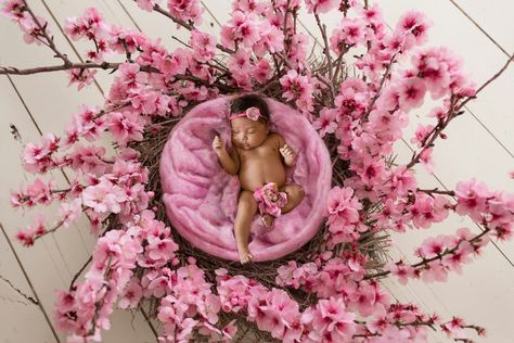 Newborn Baby Photos, Decorations Party, Newborn Baby Photography, Studio Photo, Newborn Pictures, Baby Photoshoot, Newborn Photos, Balloon Decorations, Pregnancy Announcement