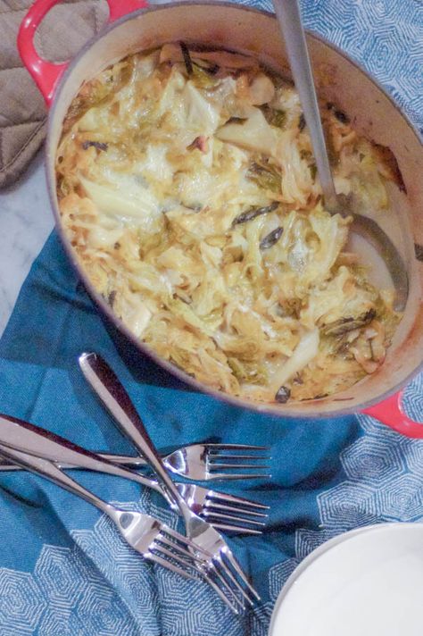 Savoy Cabbage Gratin | Blossom to Stem Cabbage Gratin, German Cabbage, Gluten Free Vegetarian Recipes, Savoy Cabbage, Thanksgiving Side, Cabbage Recipes, Winter Recipes, Thanksgiving Side Dishes, Vegetable Sides