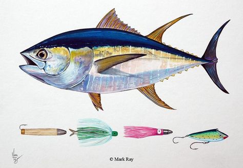 tuna Tuna Painting, Fish Chart, 심플한 그림, Tuna Fishing, Fishing Room, Salt Water Fish, Tuna Fish, Pike Fishing, Shark Fishing