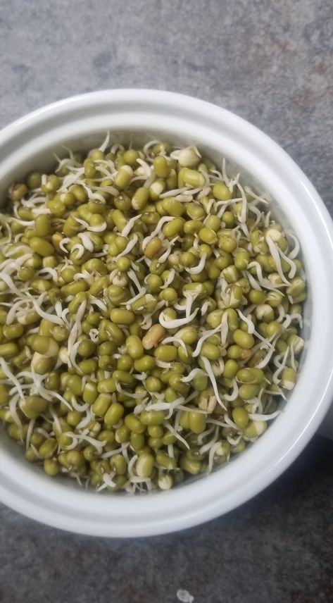 Sprout Lentils, How To Sprout Lentils, Lentil Recipes Healthy, Microgreens Recipe, Green Gram, Easy And Healthy Recipes, Adzuki Beans, Dried Lentils, Moong Dal