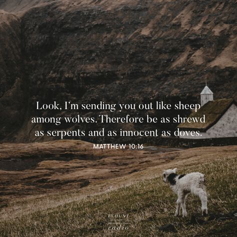 Friday, March 27, 2020. Look, I’m sending you out like sheep among wolves. Therefore be as shrewd as serpents and as innocent as doves. ‭ —Matthew‬ ‭10:16 #verseoftheday #christianstandardbible #csb #truth #equality #humility #salvation #bible #peace #repentance #love #faith Snake In Sheeps Clothing Quote, Matthew 10:16, Sheep Scripture, Matthew 10 16, Sheep Among Wolves, Psalm 25 5, Blazing Star, Book Of Matthew, Spiritual Food