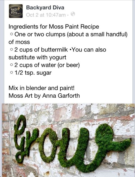 Moss paint. This is so cool!!!! Moss Graffiti, Moss Paint, Garden Goals, Future Inspiration, Goth Garden, Homesteading Diy, Moss Decor, Apartment Goals, Gardening Hacks