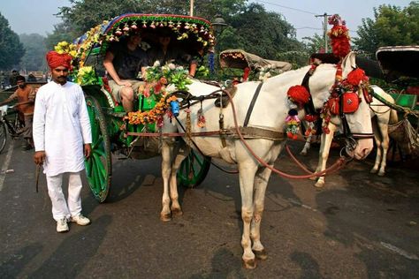 Did you know you could enjoy a tonga ride (a ride on a horse cart) in Agra on your way to Taj Mahal - the symbol of love!   All through a Tonga Ride in Agra is sheer fun and frolic. Most Agra Tonga Rides take visitors to the Taj Mahal, beside other spots. Most of the Tongas are covered and give you the feeling of being a royal guest.  #India #TongaRide #horsecart #TajMahal #tongaridetotajmahal #travel #Agra #UttarPradesh #GoldenTriangle #trip #tour #yolo #usa #UCLA Ghoda Gadi, Horse Cart, The Taj Mahal, Golden Triangle, North India, Tonga, Uttar Pradesh, Agra, Ride On