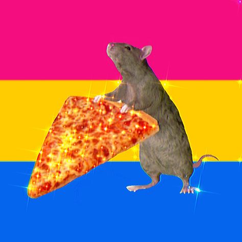 Pan Pfp, Pansexual Pfp, Pan Flag, Funny Flags, Pan Pride, Duck Wallpaper, Pansexual Flag, Lgbt Memes, Lgbtq Funny