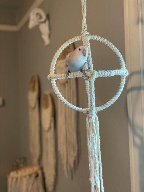 Macrame Bird Toys, Macrame Bird, Bird Enrichment, Bird Play Gym, Diy Parrot Toys, Bird Room, Birds Cute, Diy Bird Toys, Pets Accessories