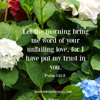 Psalms 143_8 Let the morning bring me word of your unfailing love, for I have put my trust in you. Seven Layer Cookies, Blue And White Hydrangea, Tree Collar Christmas, Hello Dolly Bars, Me Word, Seven Layer Bars, Eagle Brand Milk, Christmas Books For Kids, Magic Cookie Bars