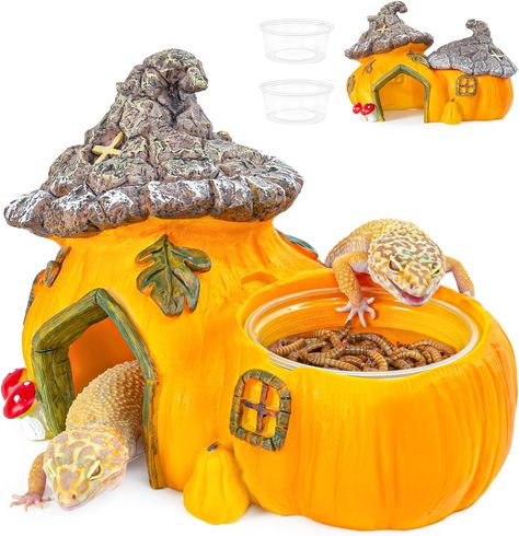 About this item 【PUMPKIN REPTILE HIDEOUT】: REPTI ZOO Fun Pumpkin Reptile Hide Cave is made from advanced resin, safe, non-toxic and easy to clean. The interior space of the hide cave is sufficiently large, providing a comfortable and secure hiding place for reptiles. 【REPTILE HIDE WITH FEEDER】: Comes with 2 x PVC transparent feeding bowls, thoughtfully designed for easy removal and cleaning. Can be used for feeding, watering or increasing humidity, ensuring your reptiles gets clean and fresh foo Fairy Garden Reptile Enclosure, Spotted Gecko, Terrarium Tank, Dragon Turtle, Reptile Hide, Snake Reptile, Leopard Geckos, Reptile Habitat, Fun Pumpkins