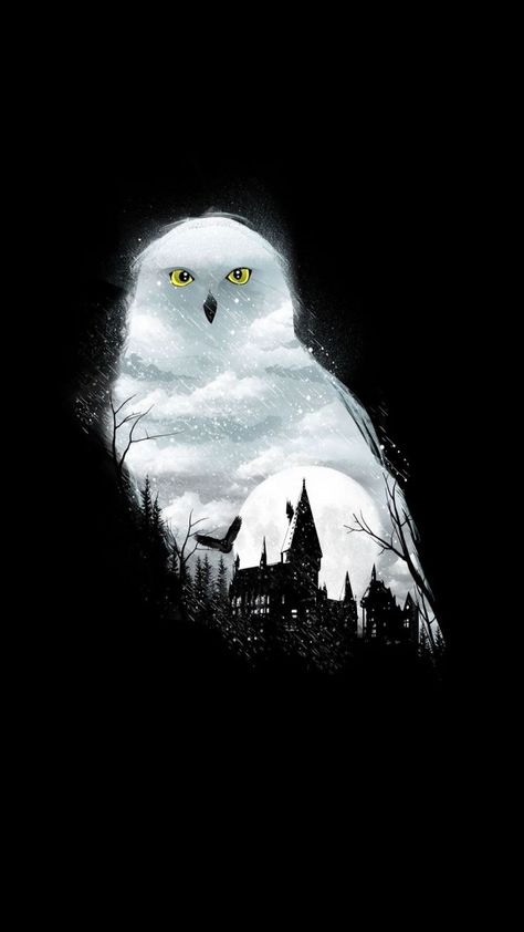 Deathly Hallows Art, Painting Harry Potter, Harry Potter 4k, Owl Wallpaper Iphone, Harry Potter Iphone Wallpaper, Harry Potter Creatures, Hery Potter, Gryffindor Harry Potter, Harry Potter Wallpaper Backgrounds