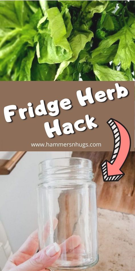 Store Herbs In Fridge, How To Store Fresh Herbs In The Fridge, Storing Herbs In Fridge, Keep Herbs Fresh In Fridge, How To Store Herbs In Fridge, Love Herbs, Store Fresh Herbs, Food Knowledge, Herb Storage