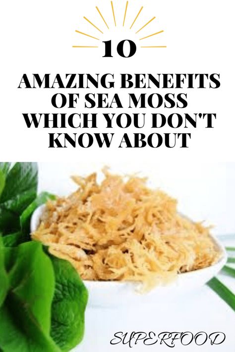 Sea moss benefits and how to use to improve your health - Missmv.com Benefits Of Sea Moss, Sea Moss Benefits, Seamoss Benefits, Irish Moss, Irish Sea, Healthy Joints, Sea Moss, Soap Recipes, Perfect Food