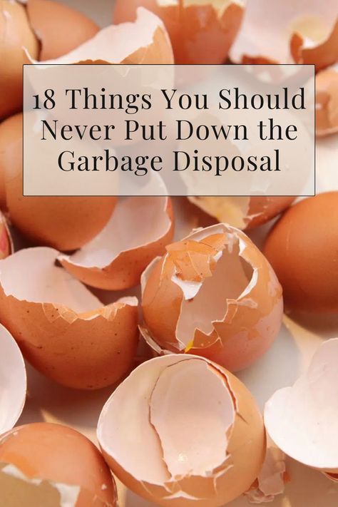 Don't risk clogging or damaging your garbage disposal. Learn what items should never be put down it with this helpful guide. Garbage Disposal Cleaning, Raw Oats, Uses For Coffee Grounds, Starchy Foods, Food Scraps, Kitchen Waste, Peeling Potatoes, Waste Disposal, Garbage Disposal