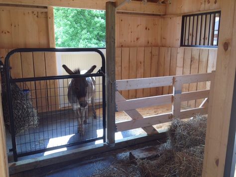 Diy Mini Horse Stalls, Mini Horse Stall Ideas, Donkey Stall Ideas, Donkey Shelter Ideas, Mini Horse Stall, Mini Cow Barn, Horse Stalls Cheap, Donkey Pen, Donkey House