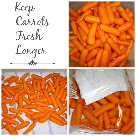 Keep Carrots Fresh Longer, How To Keep Carrots Fresh Longer, Keep Produce Fresh Longer, Carrot Storage, Keep Produce Fresh, How To Store Carrots, Food Shelf Life, Food Shelf, Prevent Food Waste