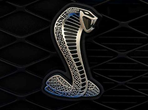 KING COBRA Shelby Logo, Mustang Emblem, Mustang Shelby Cobra, Super Snake, Mustang Gt500, Shelby Mustang, Iphone 3g, Microcar, Ford Mustang Shelby Gt500