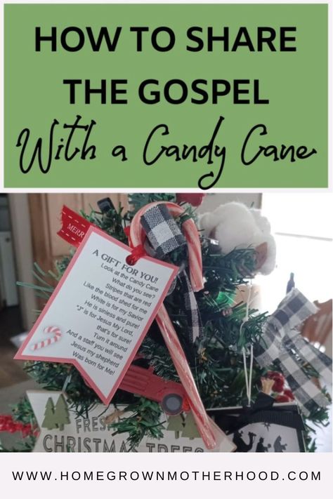 I think it's no coincidence that the candy cane's most popular time of year is Christmas. But, did you know you can share the Gospel with a candy cane? Learn how! | www.homegrownmotherhood.com Meaning Of Candy Cane, Candy Cane Story, Candy Cane Poem, Candy Cane Legend, Christmas Sunday School, Homeschool Holidays, Faith Crafts, Art For Kids Hub, Share The Gospel