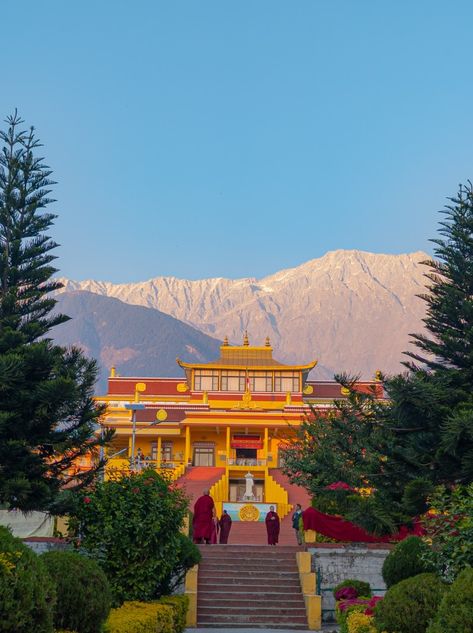 Himachal Pradesh Dharamsala, Monestry Photography, Monestry Aesthetic, Bir Himachal Pradesh, Dharamshala Aesthetic, Himachal Pradesh Aesthetic, Himachal Aesthetic, Dharamshala Mcleodganj, Mountain Person