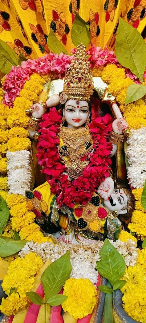 Pitambara Devi, Baglamukhi Maa, Image Hd, Quick Saves