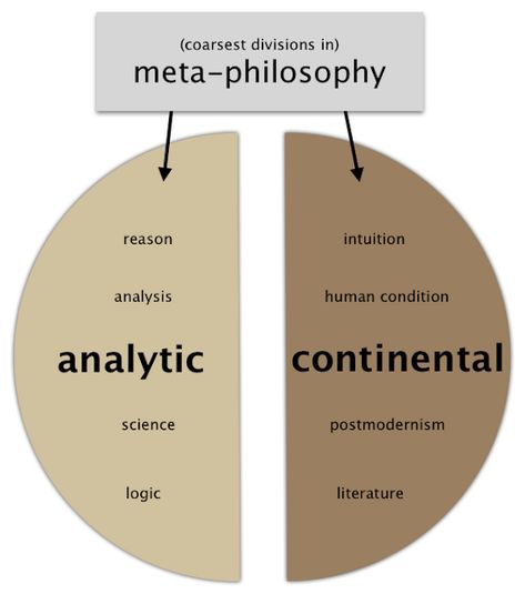 What Is Philosophy, Magic Kingdom Map, Continental Philosophy, Philosophy Theories, School Of Philosophy, Library Skills, Reading Charts, Critical Theory, Physicists