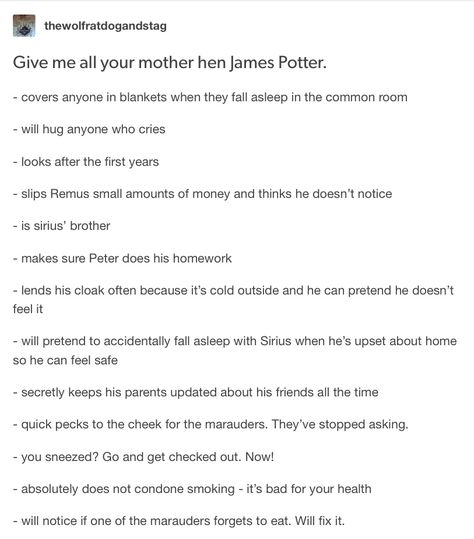 James Potter - the marauders James Potter Text Posts, James Potter Imagines, James Potter Headcanons, James Potter Quotes, James Potter Headcannons, James Potter Kinnie, Mother Hen, Yer A Wizard Harry, Harry Potter Headcannons